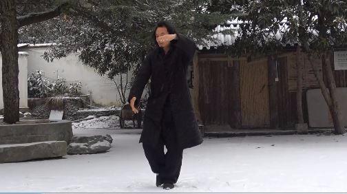 王师恒——太极十三势